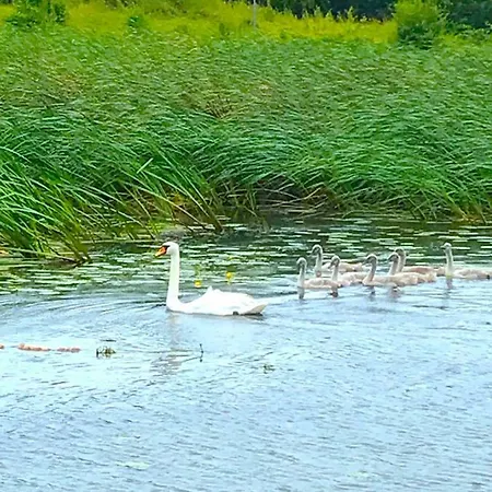 Apartment House On Water - Dom Na Wodzie - Dawn Elblag